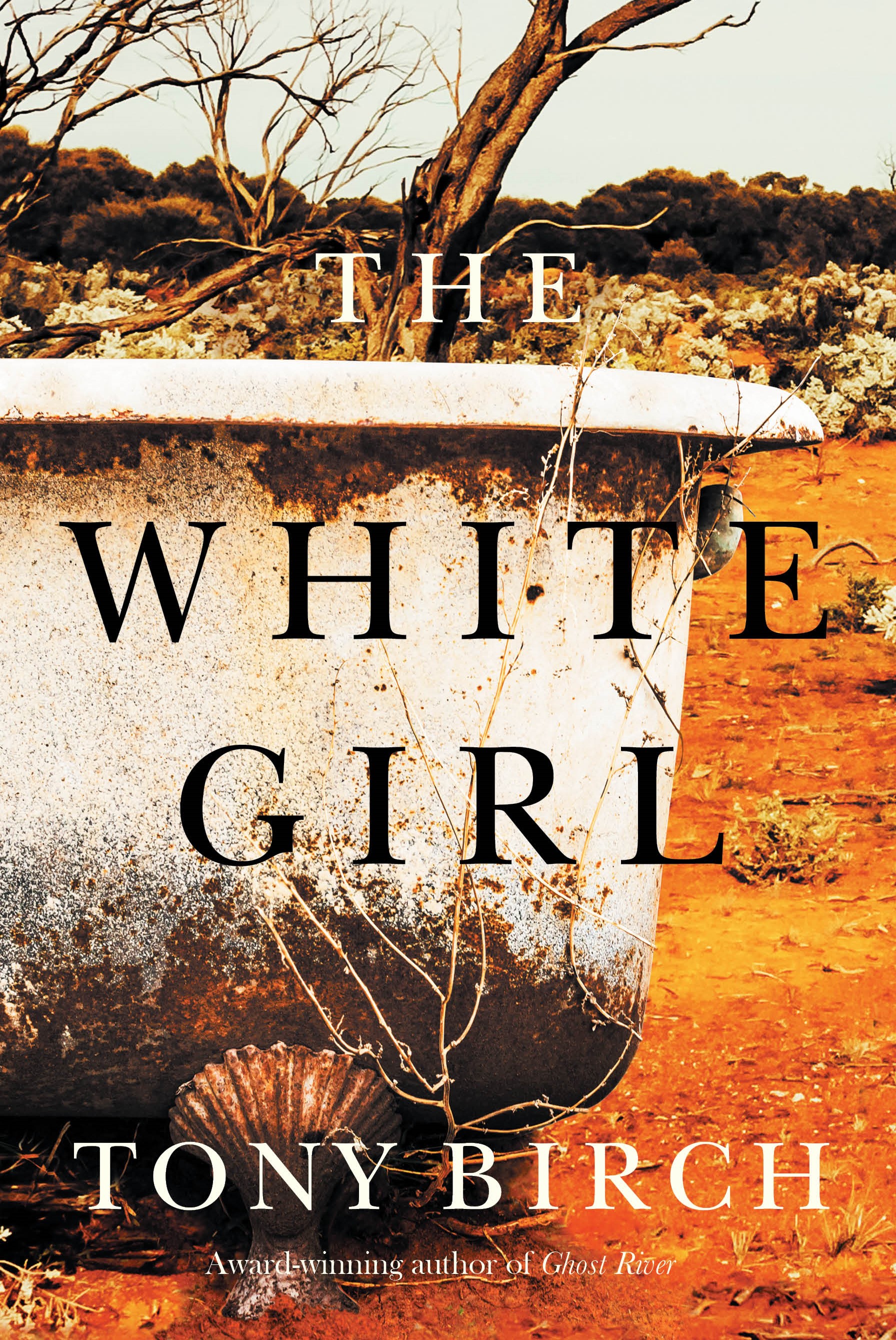 the woman in white novel