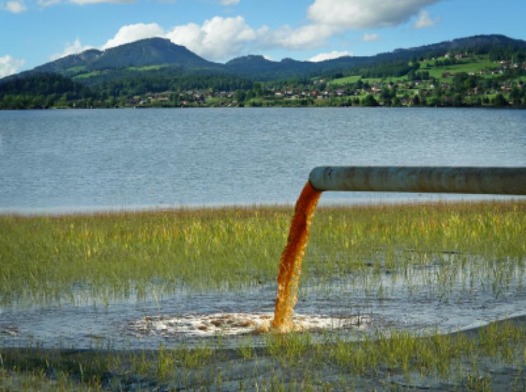 Картинки как загрязняют воду